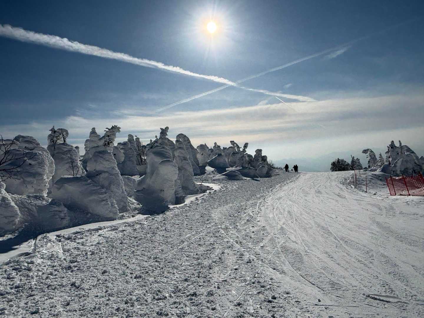 スキー場は持参したヒップソリで下山🛷

長いコースを歩くのが回避できるのでオススメですが、思いの外スピードが出るので傾斜の緩いところでしないと危険です⚠️😇