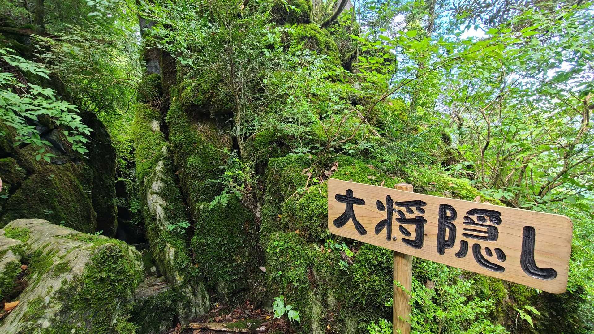 古処山-屏山 往復コースの写真