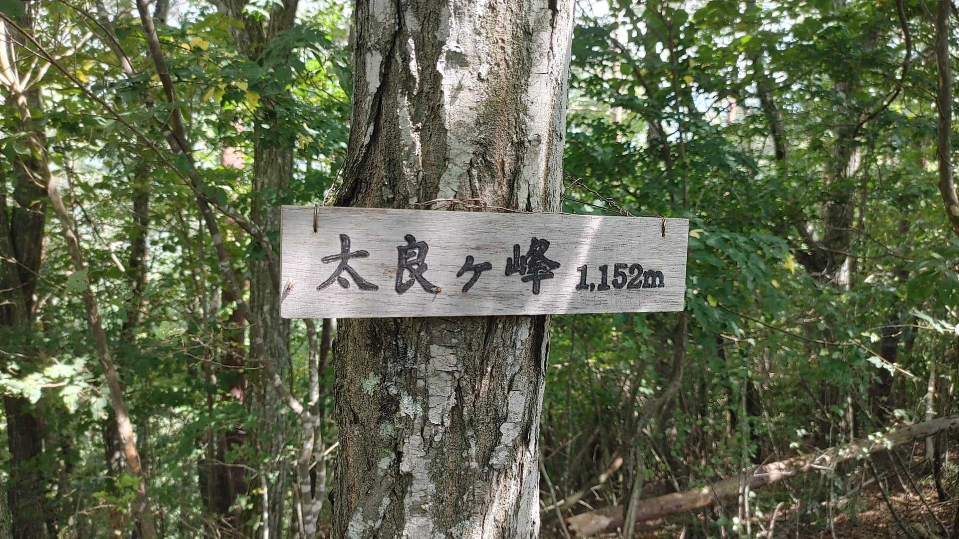 最初のPeak「太良ヶ峰」