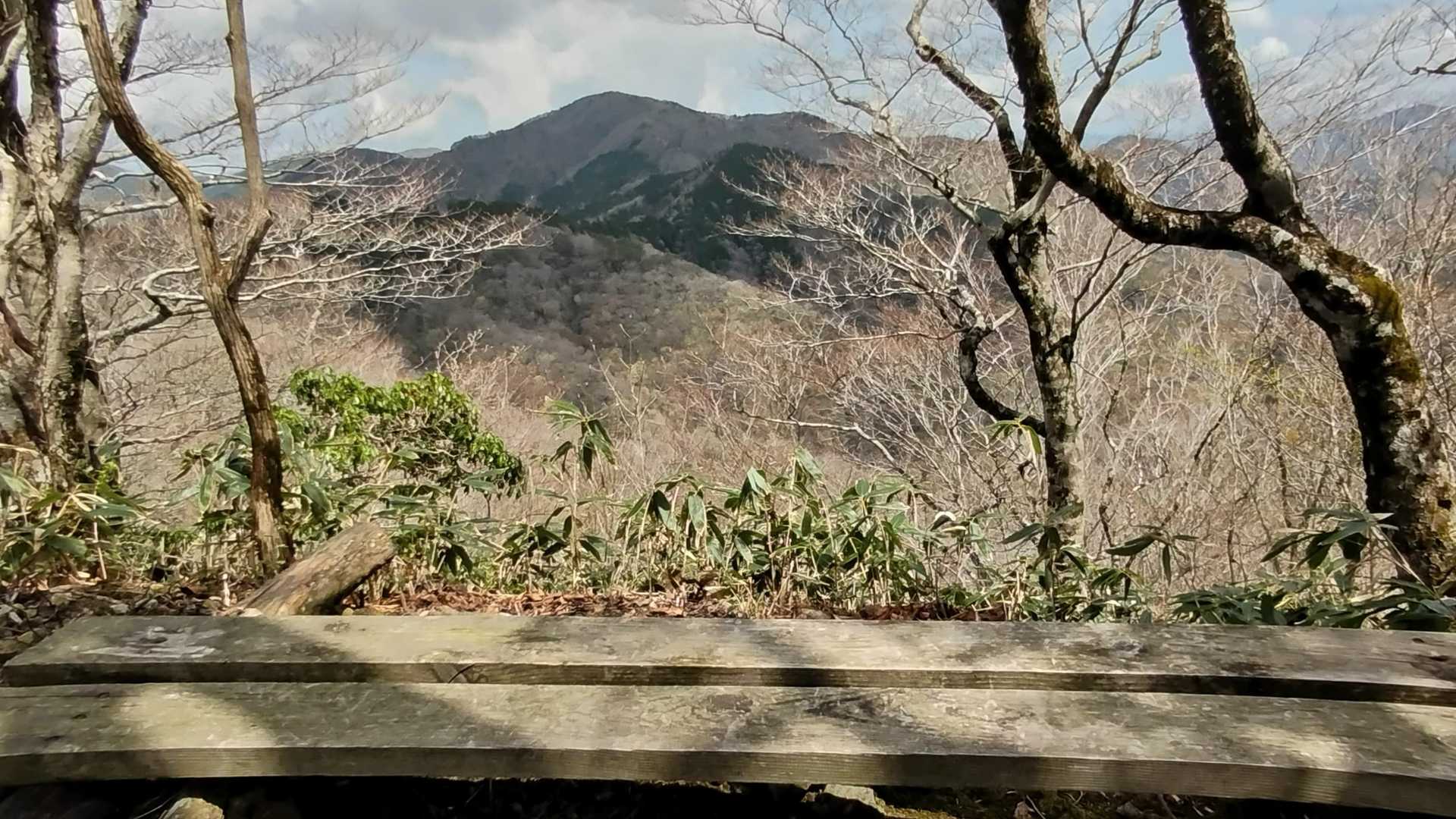 ベンチスポット