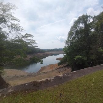喜撰山ダム湖を林道脇からパチリ

ちょうど
目の前に
緊急用オーバーフロー流路らしき建造物がありました