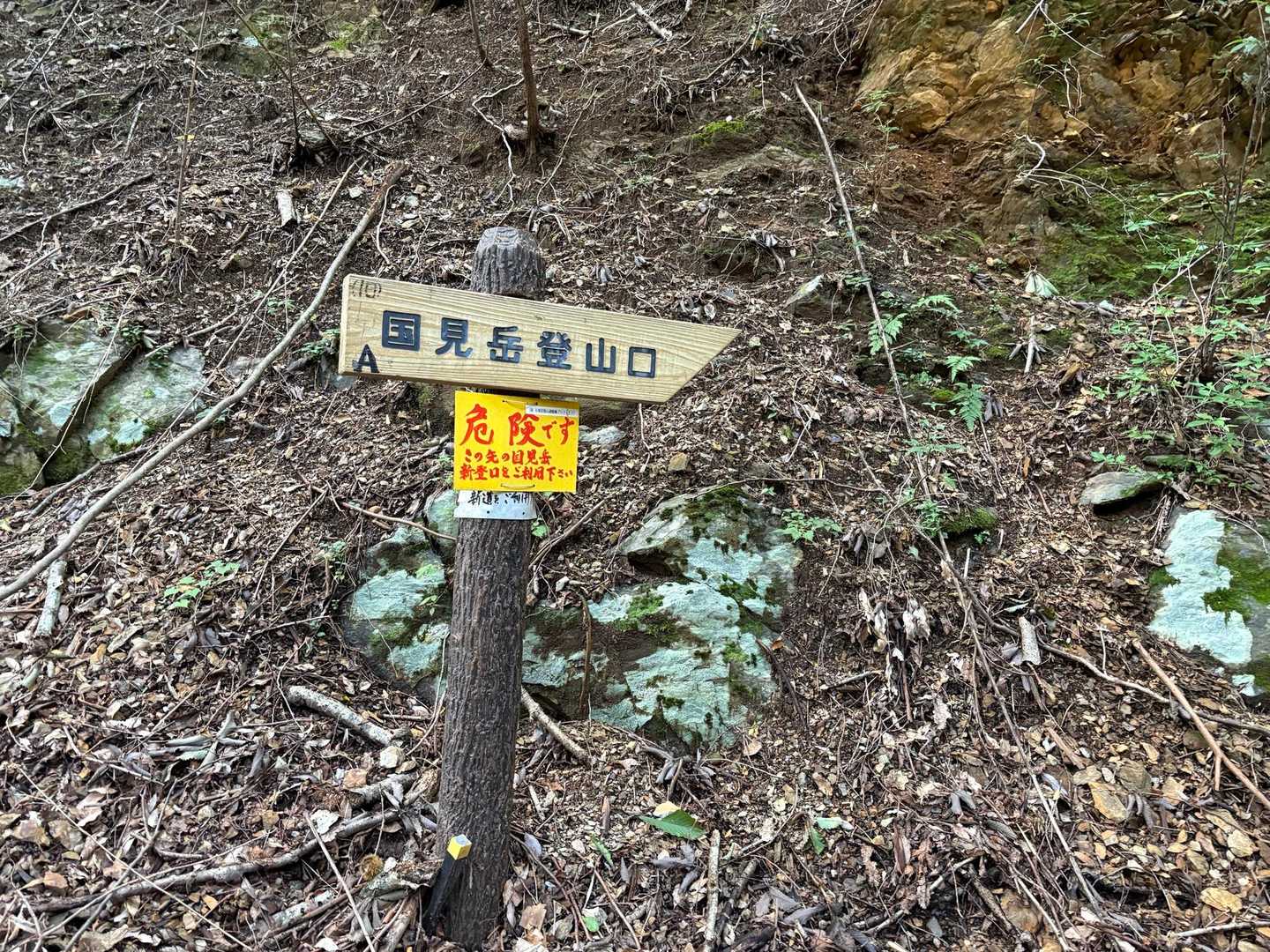 ここからはもう無理でしょう💦