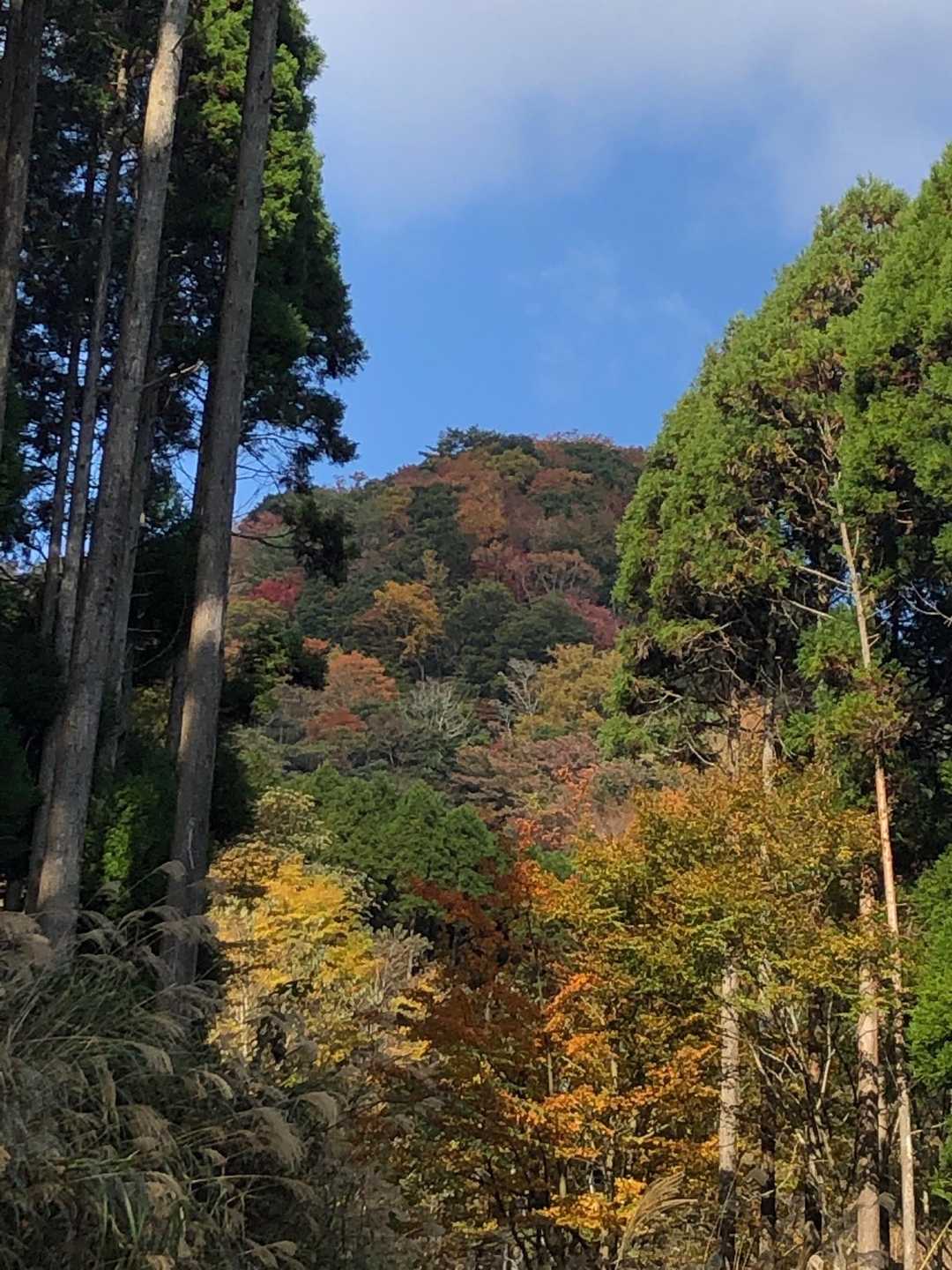 山がきれいだ〜