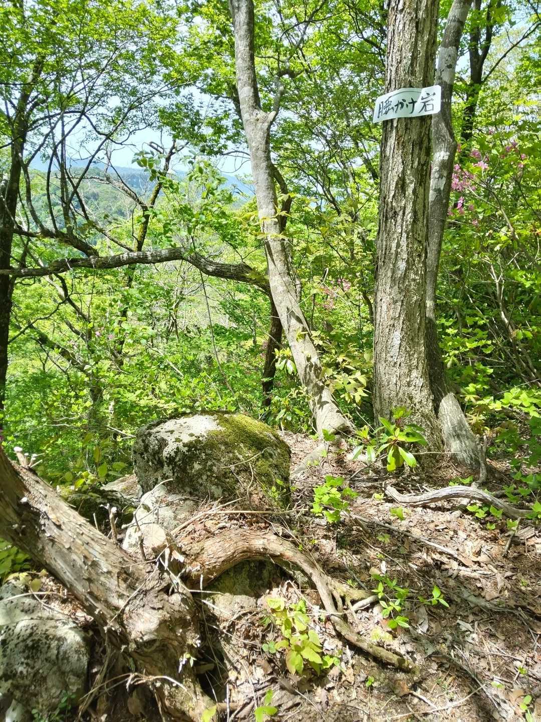 市谷の登山口-蟹ノ目山 周回コースの写真