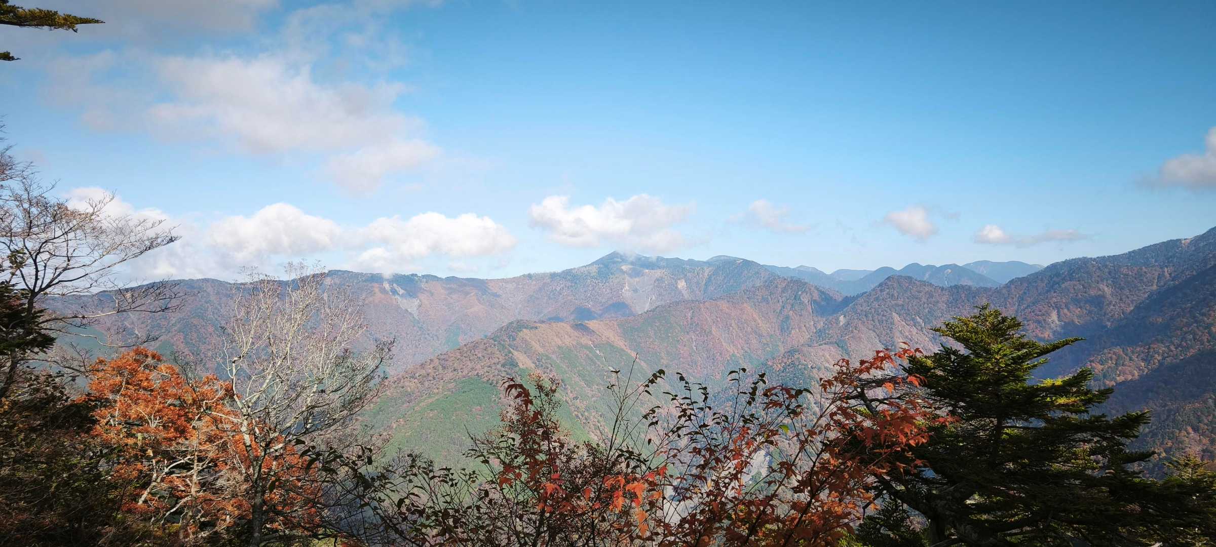 麻布山登山口-三森-麻布神社奥宮跡-麻布山-戸中山-前黒法 往復コースの写真