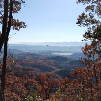 東側に展望あり