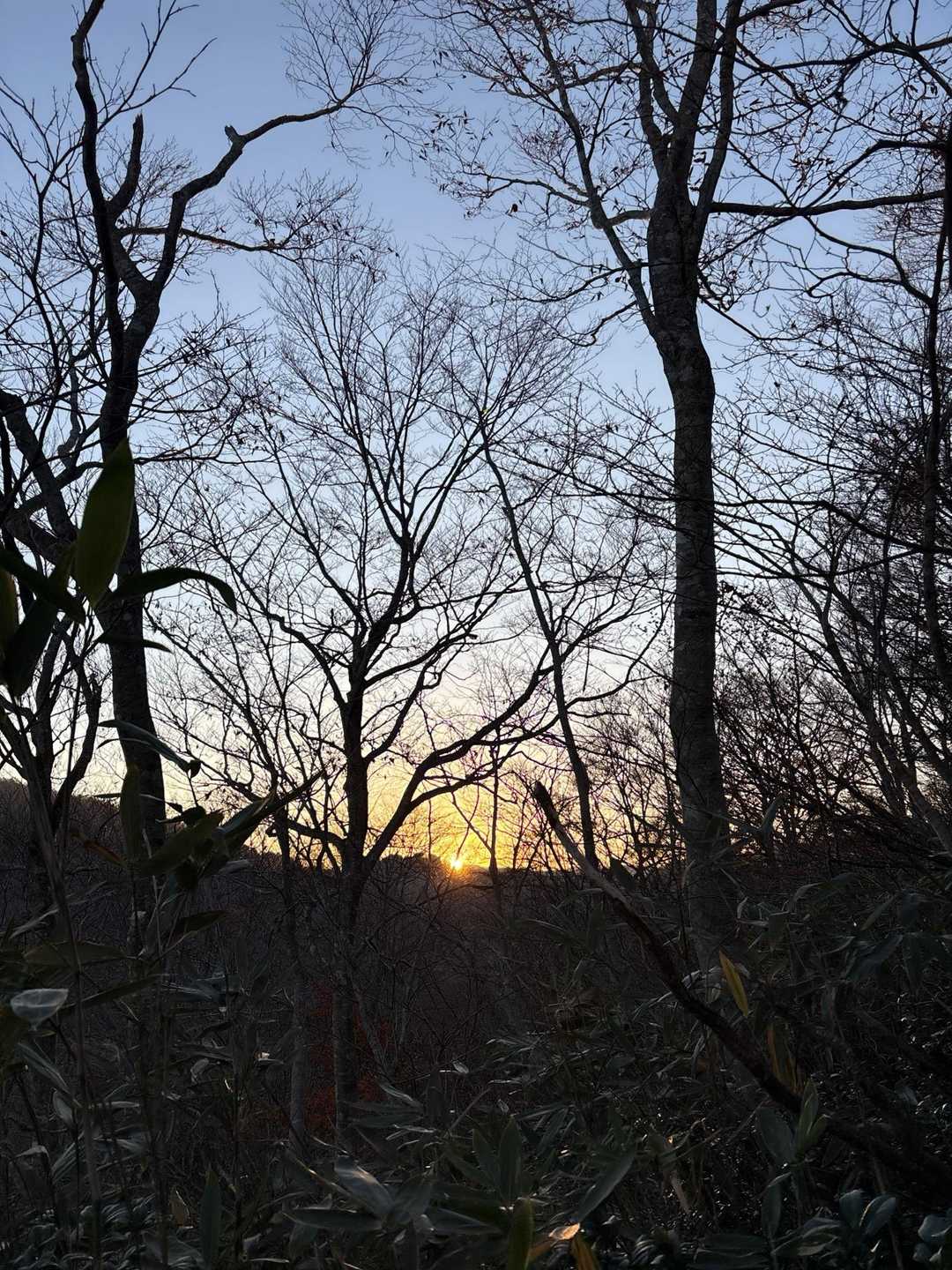 出て来た〜☀️