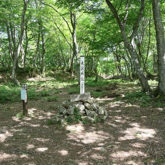 最も高い大嶽城跡。