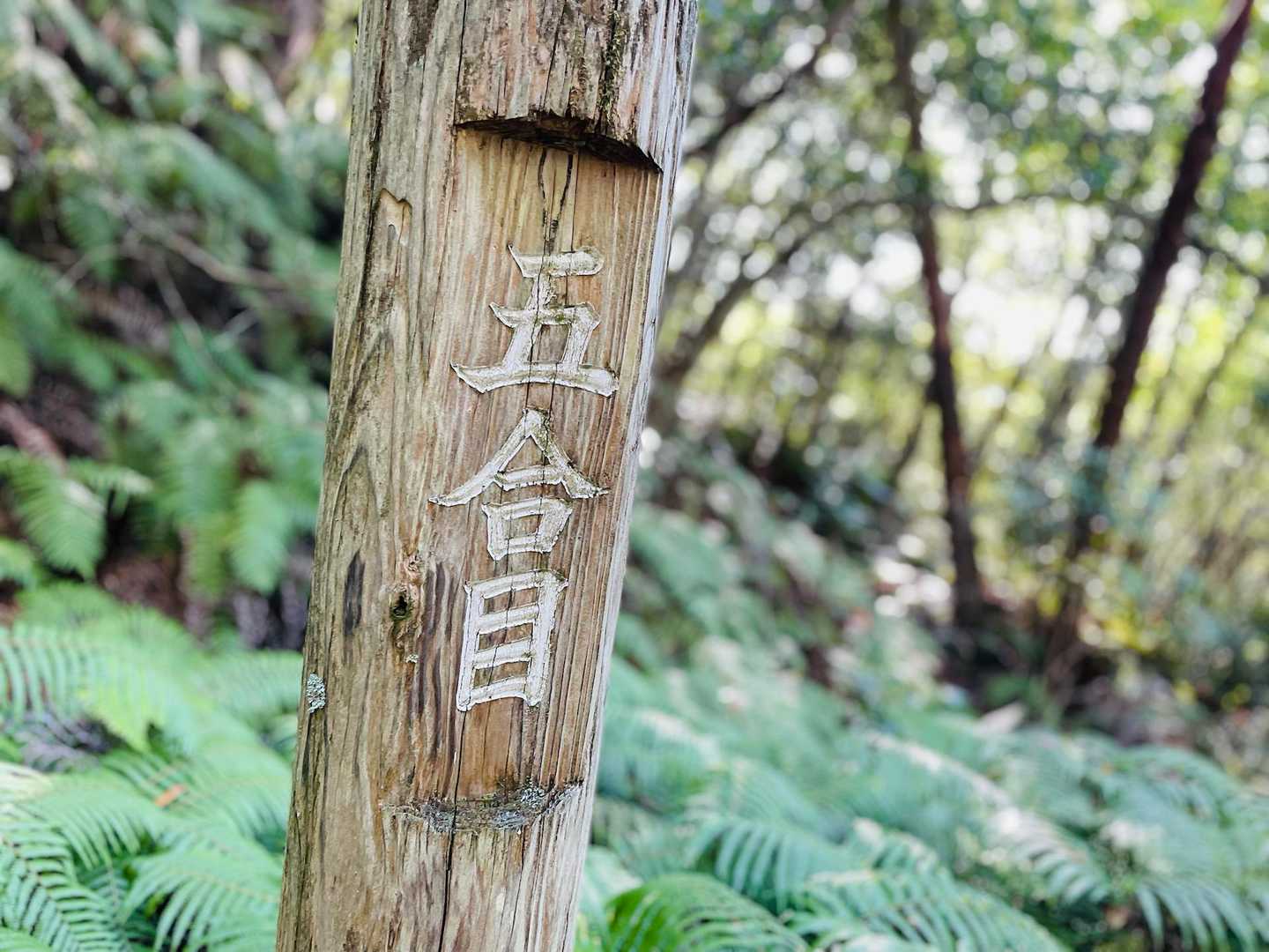 あっという間に五合目