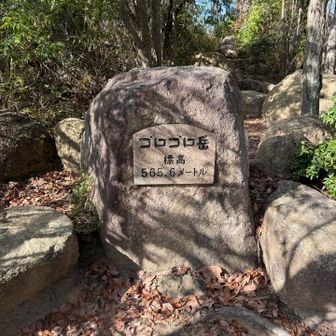 ゴロゴロ岳到着❗️