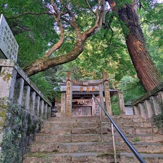 お参り③