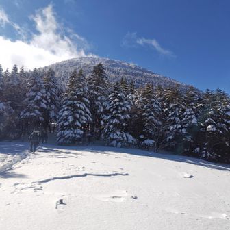 この蓼科山を見てUターンを決めました。2人だけ蓼科山山頂向かったそうです