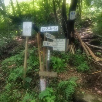 ここまで（から）が急登です