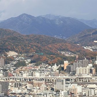 新幹線が横一線🚅
やっぱりバックは青空と富士山じゃなきゃ決まらない…😅