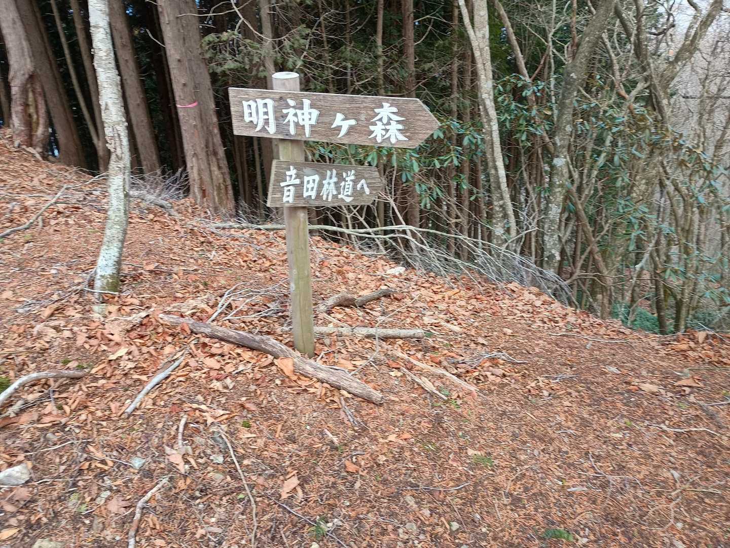 音田林道を歩いてみたい。