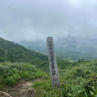 こっから1時間