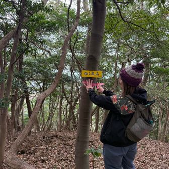 ７座まで来ました💕