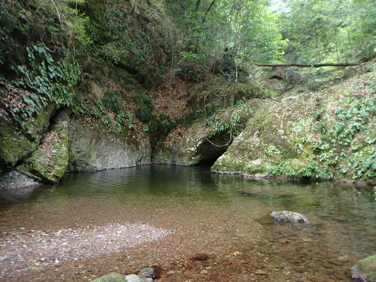河鹿（かじか）渕に寄ってみた。