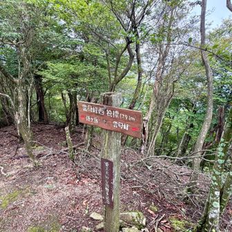 ここも展望はありません。

雲母峰西独標、という別名があるのですね。