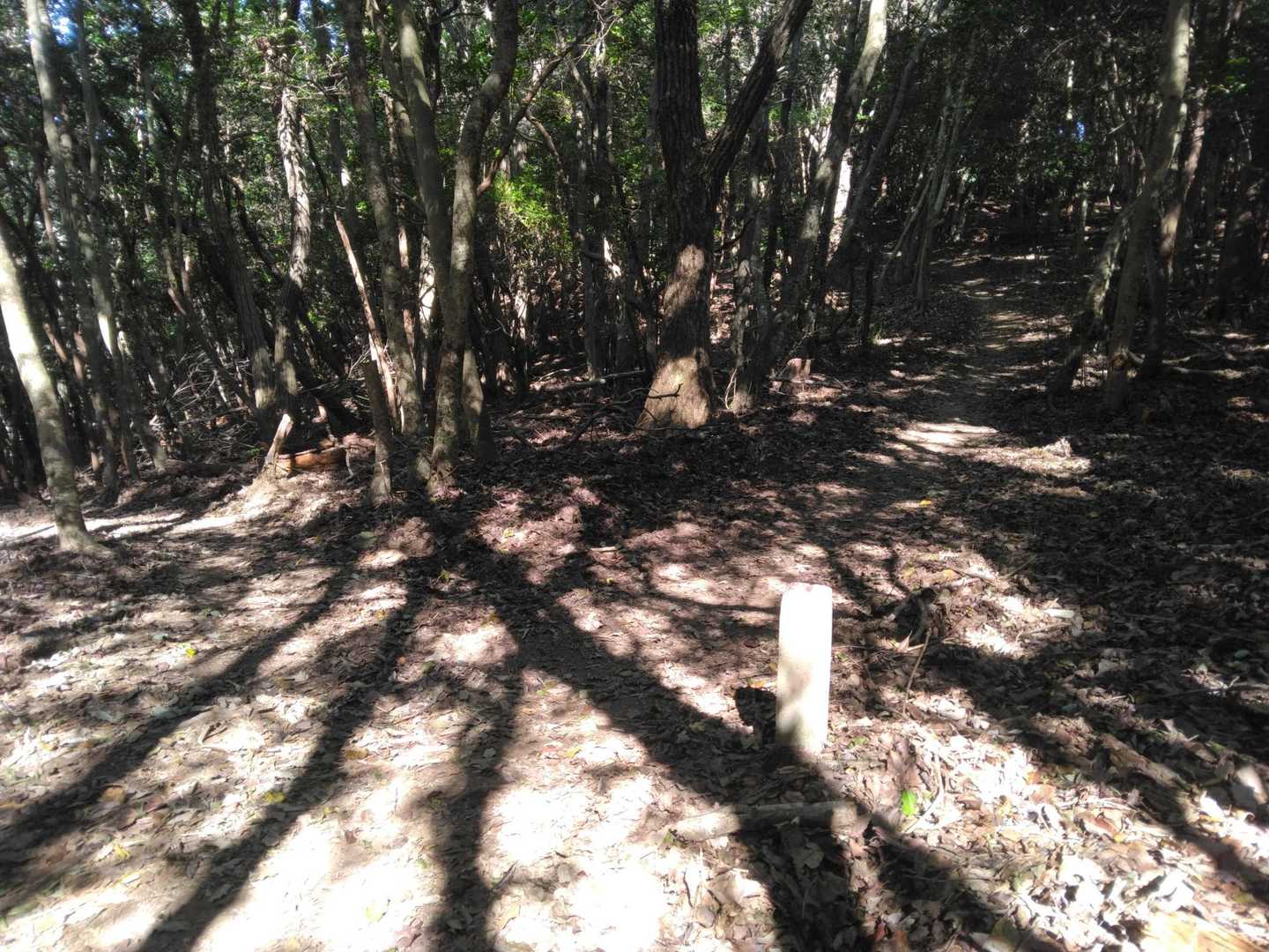 ココから下山します‥👈️