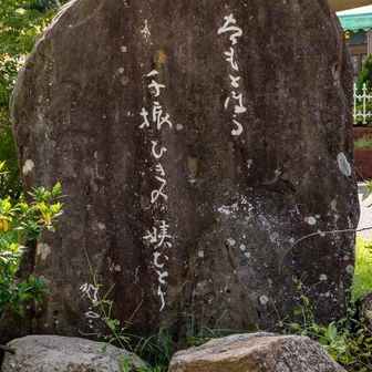 「たもとほる　千振りひきの　姨ひとり」

河野静雲句

秋吉台もメインじゃない端っこ系のピークは道が不明瞭な所があったりしますが、平尾台も草が生い茂ったりして道が不明瞭な所がけっこう多かった印象でした😅
戻って来てから　過去のレポをめくってみたら、春先に野焼きをやってるみたいで　その直後は草が全くなくてハゲ散らかしてて　歩きやすさで言えばその時期の方が断然良さそうです‼️笑
っでもまぁ　今の時期の黄金ススキ🌾の景色は　やっぱり捨てられない🤭

今回はルート下調べが不十分。
モバイルバッテリーは　やっぱり必要。
水分は余るくらい所持必要。

今さらですけど（笑）　改めて教訓を頂きました🤗


また来ます‼️

お疲れ山でしたーー♫✌️
