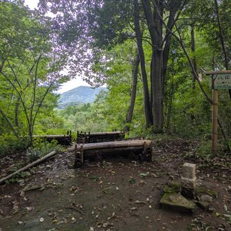 八国見山山頂からわずかに見える景色