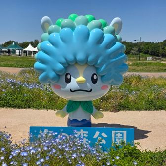 toshinaka