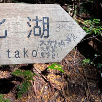スカリ山推し　3㌔10分🤯　それは無理😣
そしてここには　tako🐙がいた😂