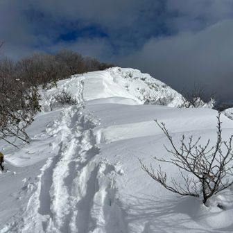 お2人のバックカントリーの方にトレース付けていただきました👏ありがたいです！

