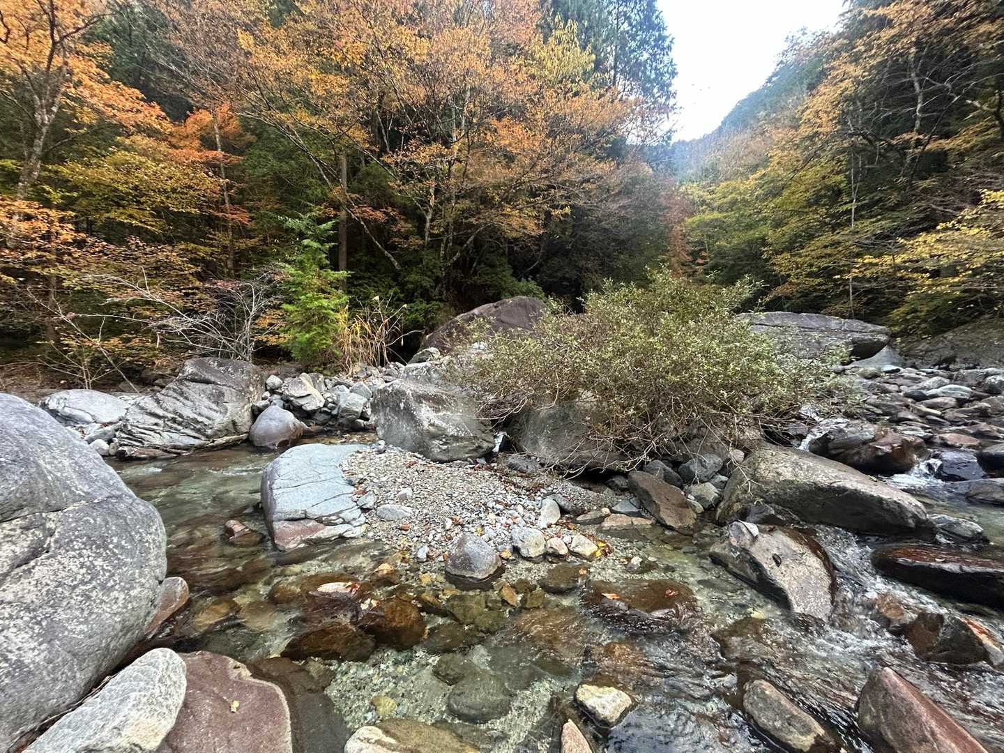 今日はなんとか渡渉出来そう😄