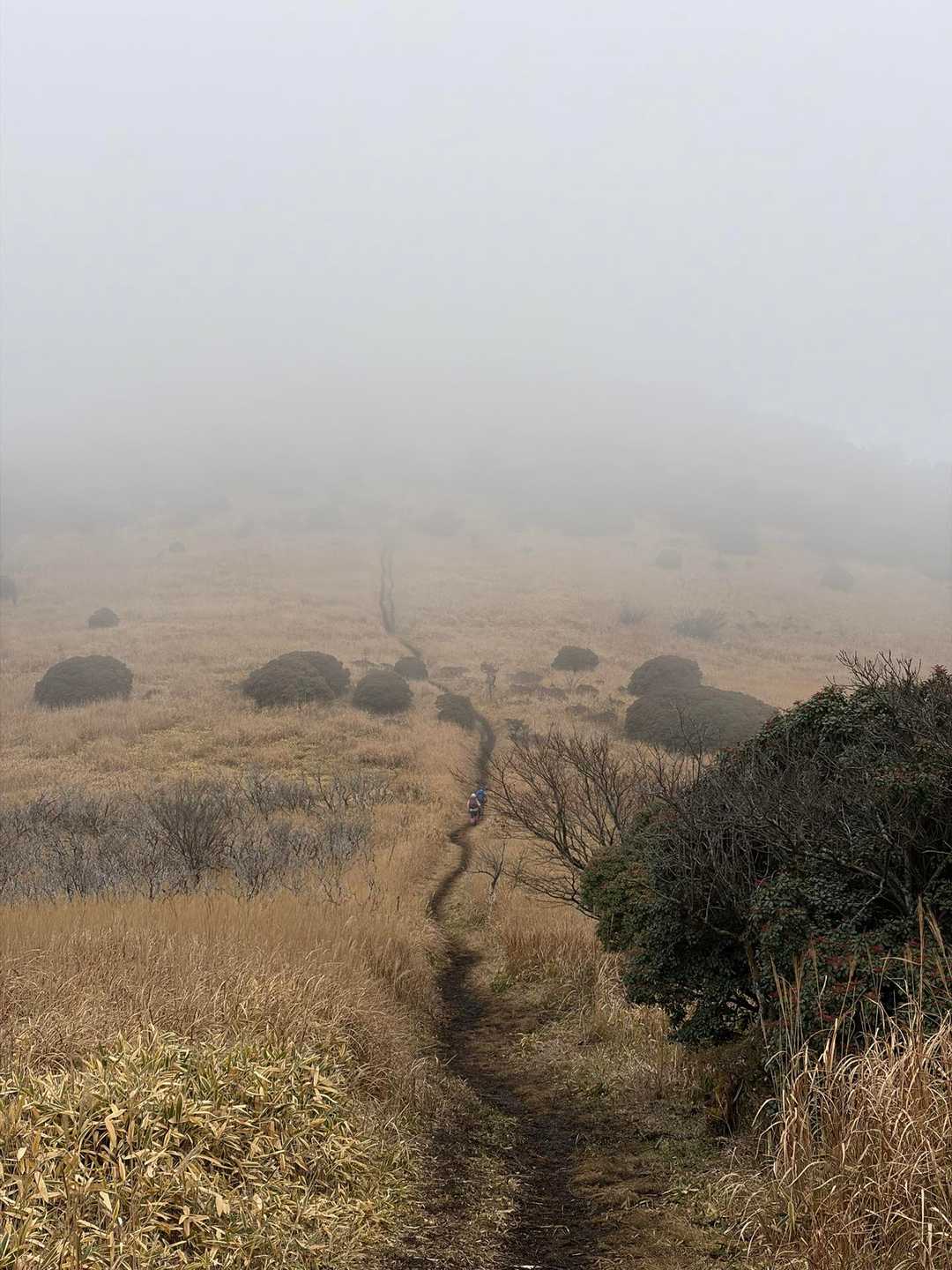 猟師岳登山口-猟師山南峰 往復コースの写真