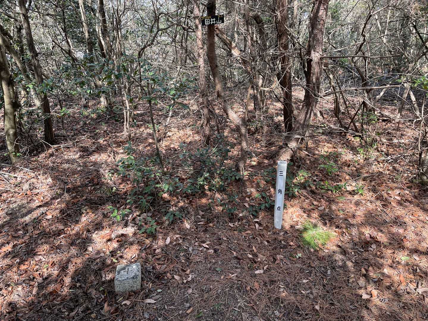 田井山山頂四等三角点（茶臼山、161.70m）隣の山名が、田井山の三角点名とは面白いですね。