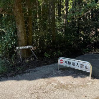 この脇にでます