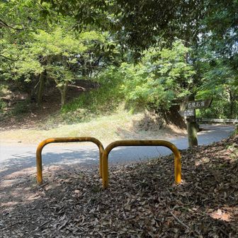 一旦車道