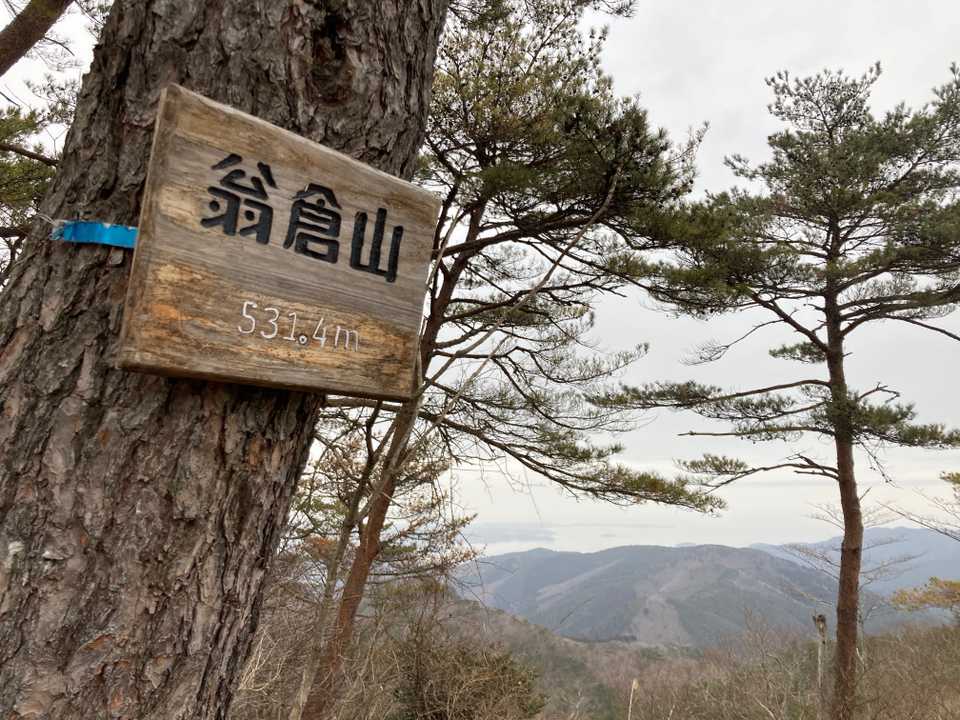 ここで、ひな祭りパーティーをされていた方のご馳走レポを思い出し、お料理が得意な友達が欲しいと心から思いました🎎🤤💕笑
