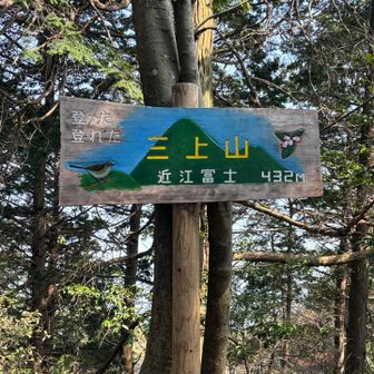 山頂広場
ベンチもあり休憩している人、多数
私もひと休み🍙