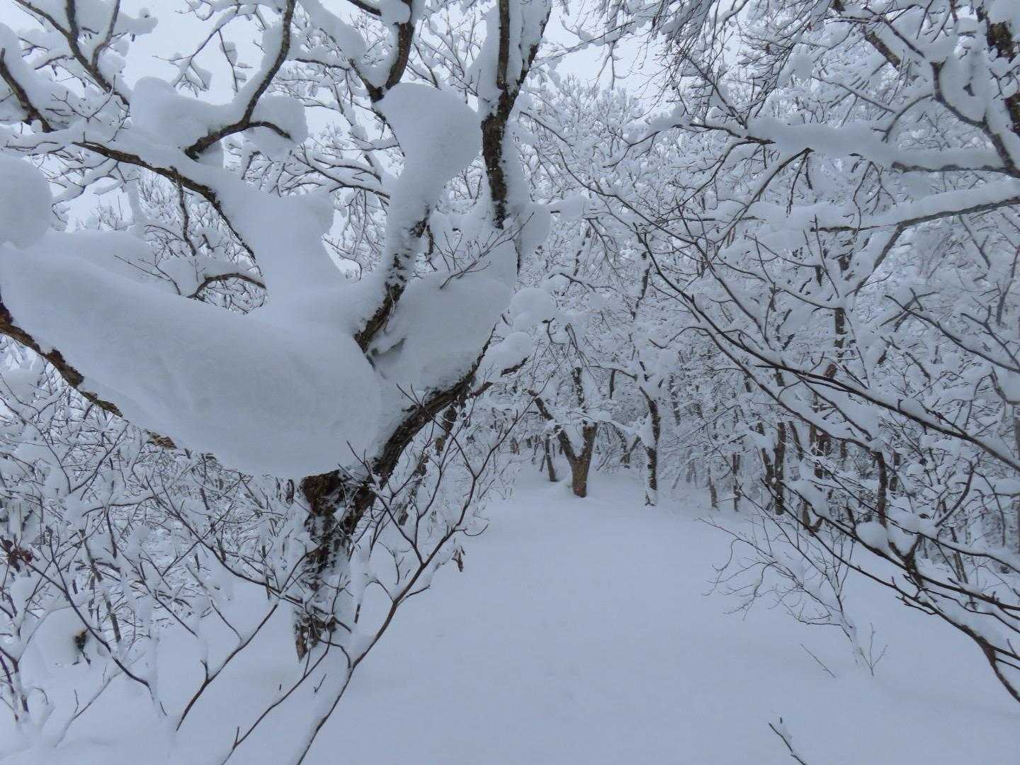 高森山方面ノートレース