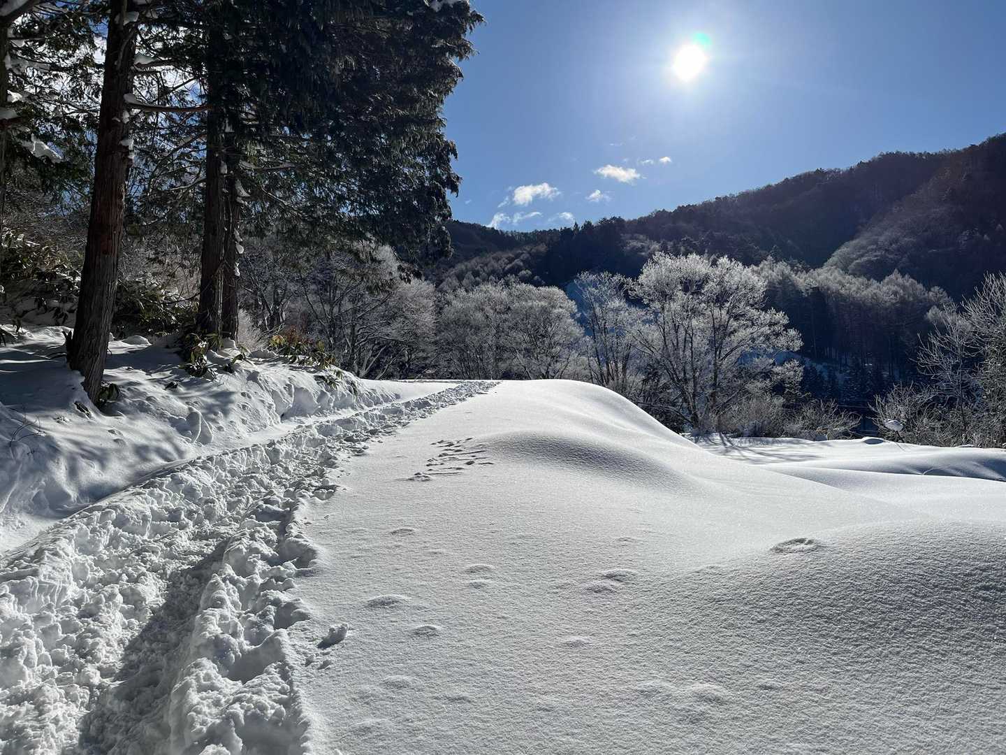 高嶺山登山道入口-長者峰 往復コースの写真