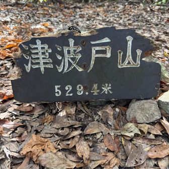 津波戸山山頂に
到着。