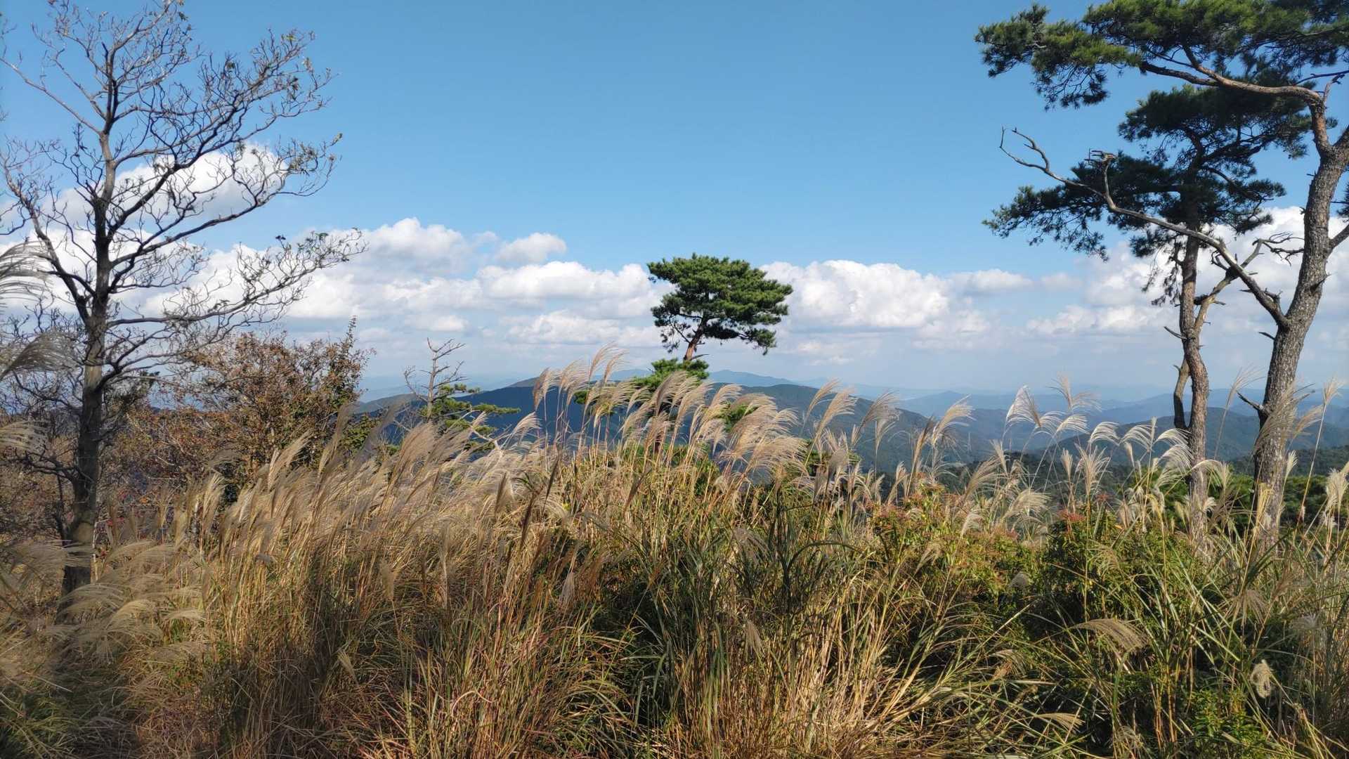 剣尾山・横尾山・行者山 縦走ルートの写真