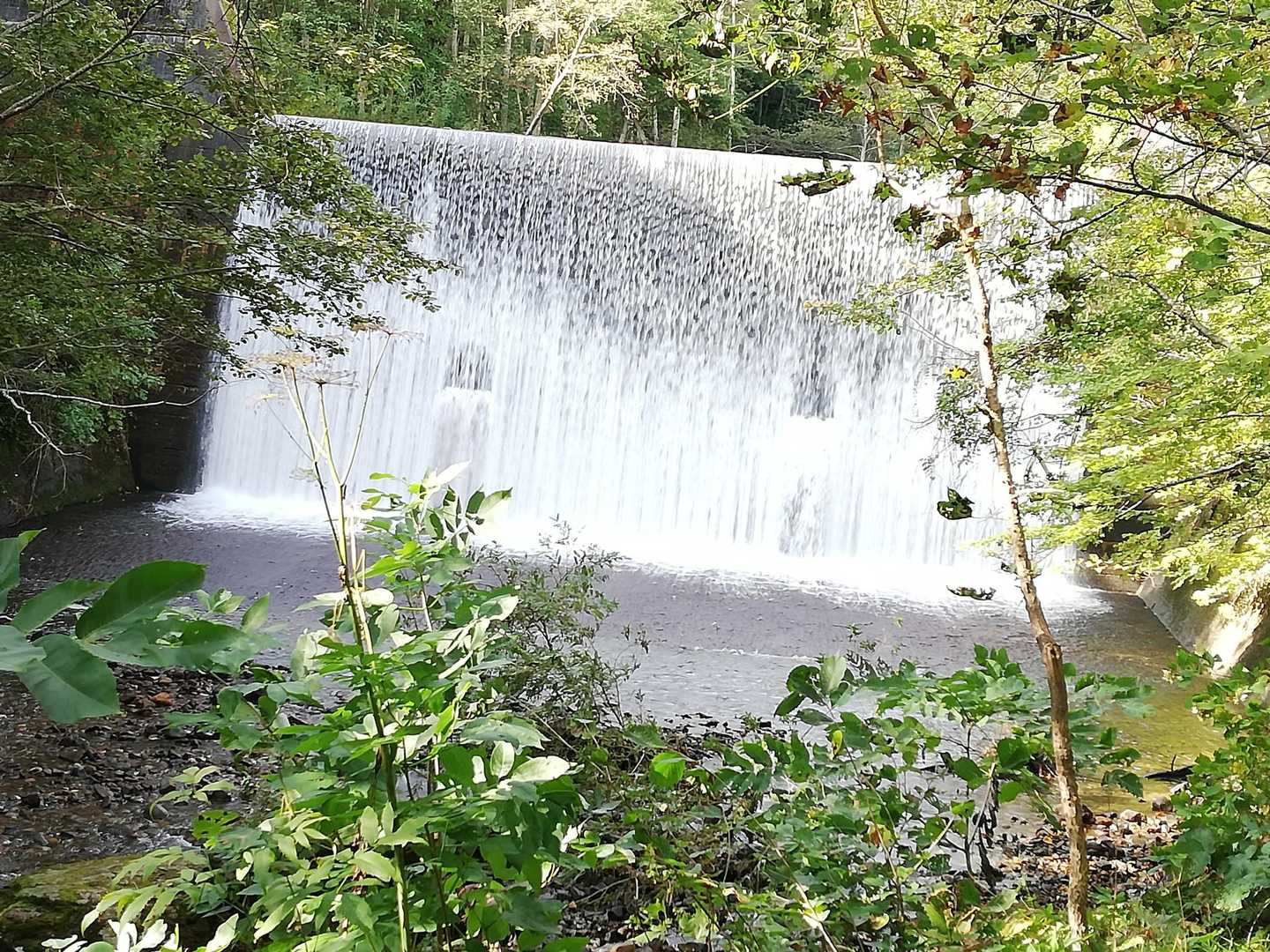 砂防ダムの水量が物凄いことに❗😆水のカーテンみたい✨
綺麗です📸