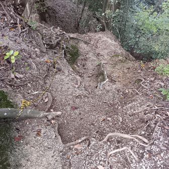 きつね山山頂手前は結構急斜面にゃ。
中級レベルにゃ。
