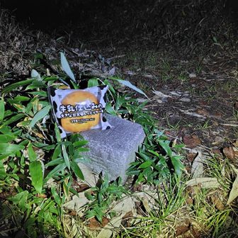 【🟢佐武流山】(二等三角点🔺)

自撮り中🤳は、周辺で動物の気配もあったような…🤔
(登山道↑の方から、ガサガサ🐾と聞こえた😨)

登頂🚩してから約１時間後？ようやく菓子パンタイムを開始😋

19:43頃、下山へ…🚶‍♂️‍➡️