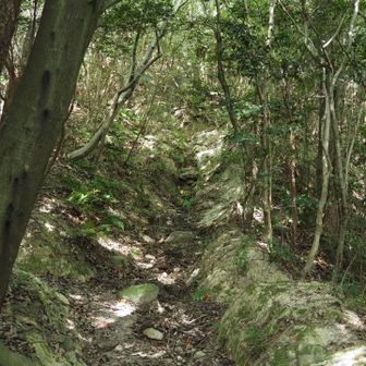 地すべり資料館を過ぎて甲山森林公園に入ると間もなく本格的なハイキング道。またもスニーカーで来ちゃった…。

なお、地すべり資料館は、阪神淡路大震災で大規模な地すべりが発生した場所だから、とのこと。今日は立ち寄りませんでしたが、ここは「谷埋め盛土地すべり」だそうです。盛り土の内部に地下水が豊富に存在していて、強い揺れをきっかけに滑ったと。
