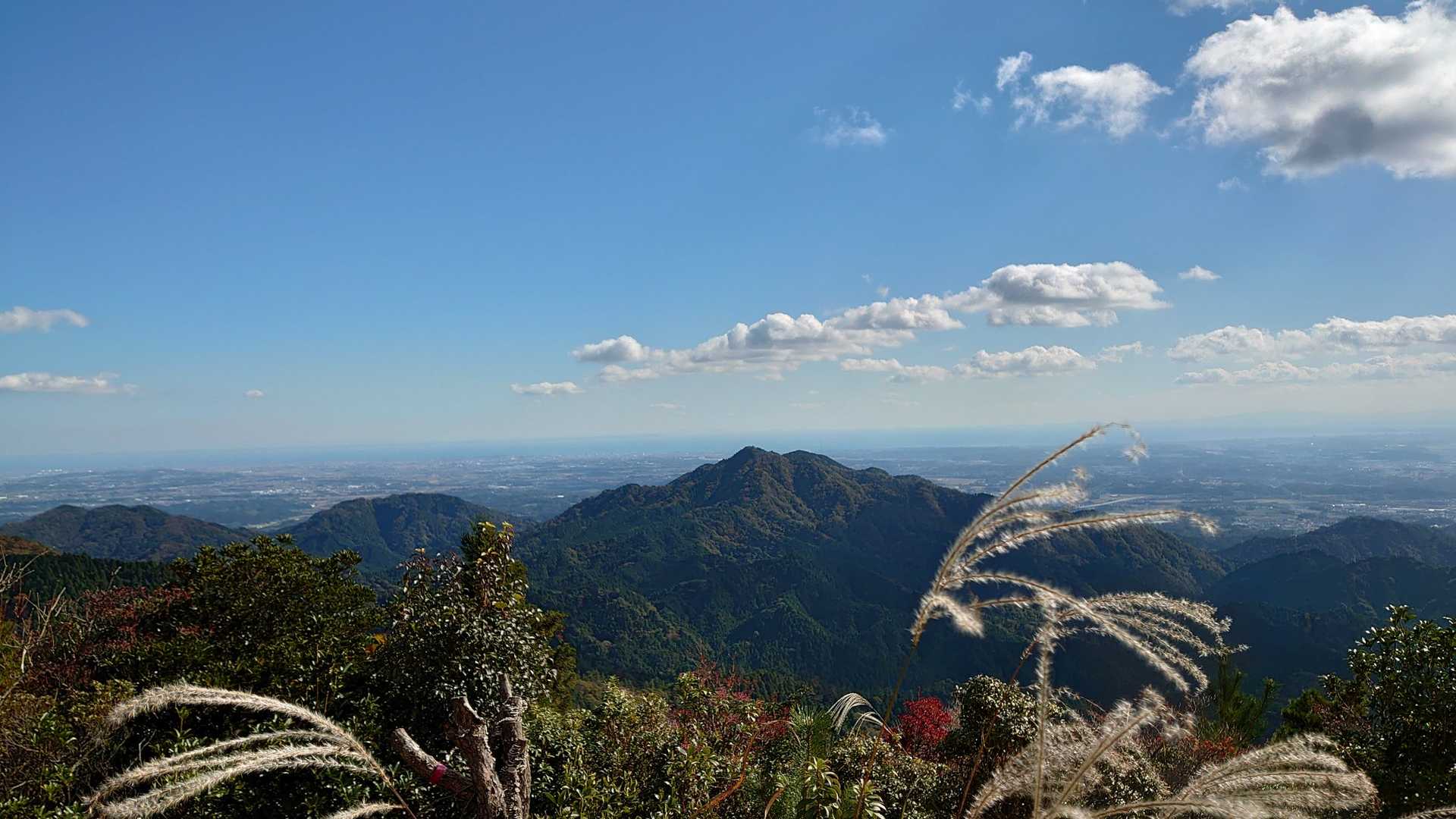 鈴鹿峠-三子山-四方草山 往復コースの写真