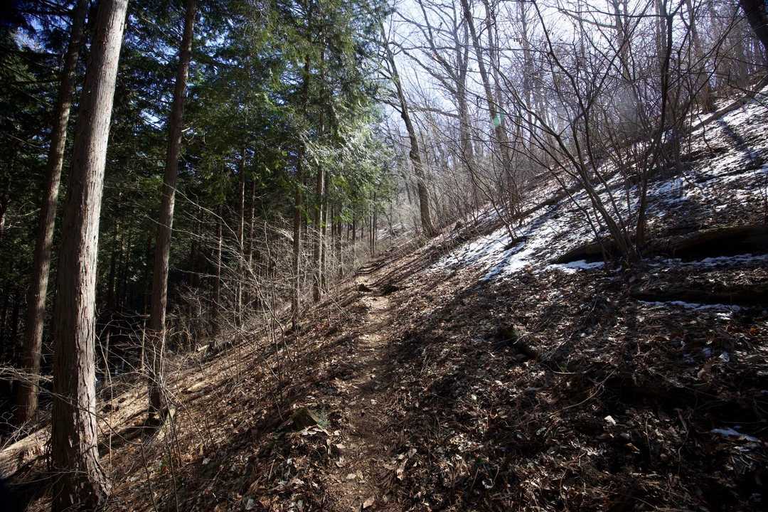 奥高尾〜裏高尾縦走（陣馬山・堂所山・富士見台・駒木野） の写真 11