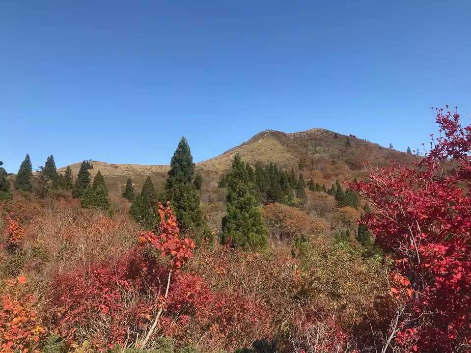 御殿山の写真