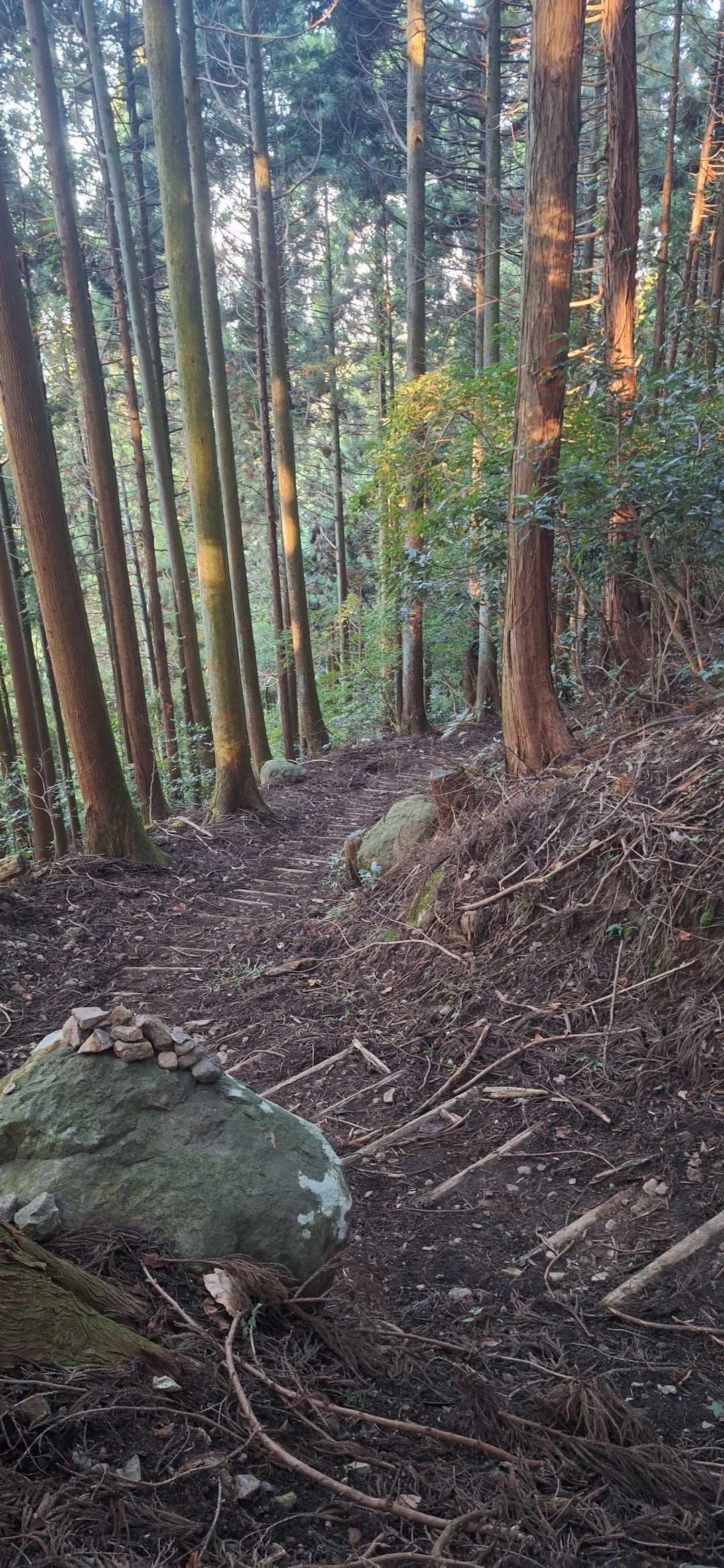 階段地獄が続きます😅
