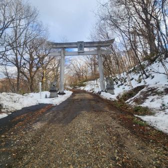 鳥居をくぐって、10分くらい林道歩き