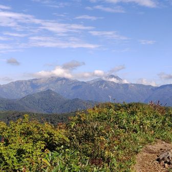 おっ、あの山は白山ではないか。ここから見るとこんな感じで雄大😁
でも、すてきなお花畑や別世界の様子は見えず、ホラ貝の響きは聞こえない🥺